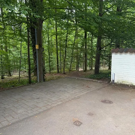 Auszeit Am Waldrand-barmer Anlagen Toelleturm
